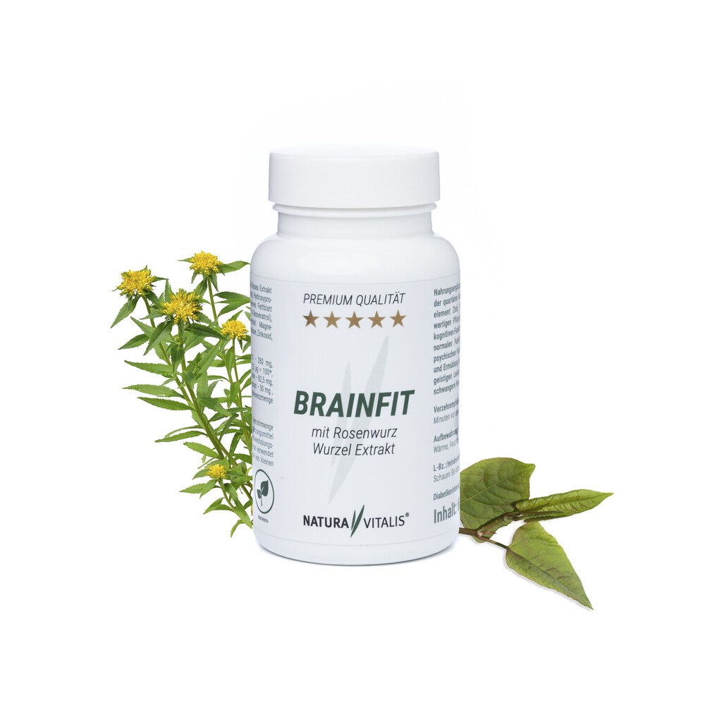 Natura-Vitalis-Brainfit BRAINFIT - 60 Kapseln