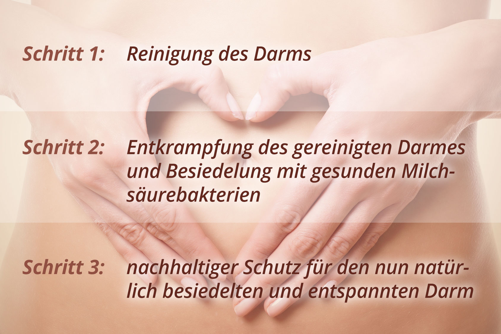 Natura_Vitalis_3-Phasen-Darmkomplex_Teaser