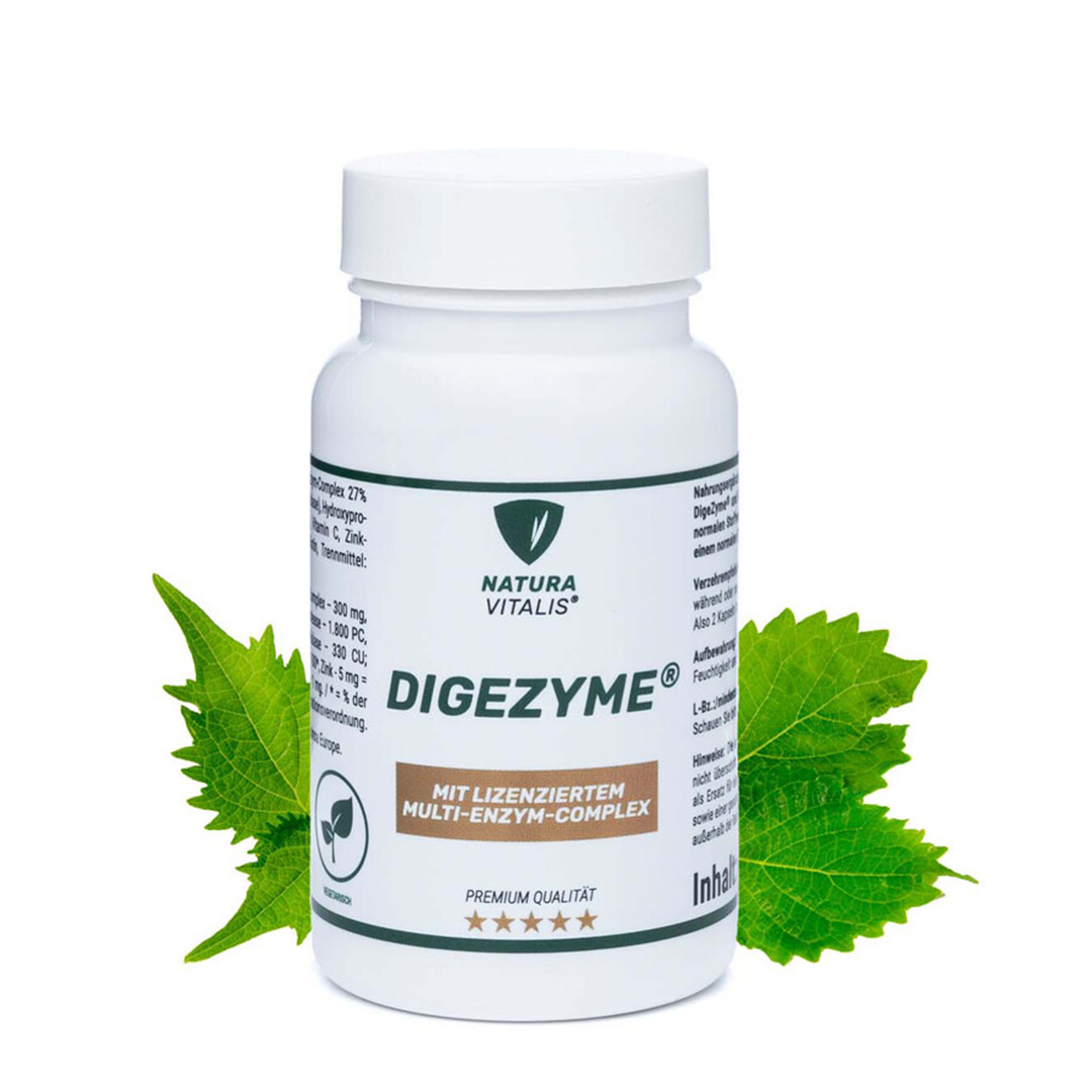 NATURA VITALIS Digezyme - 60 Kapseln