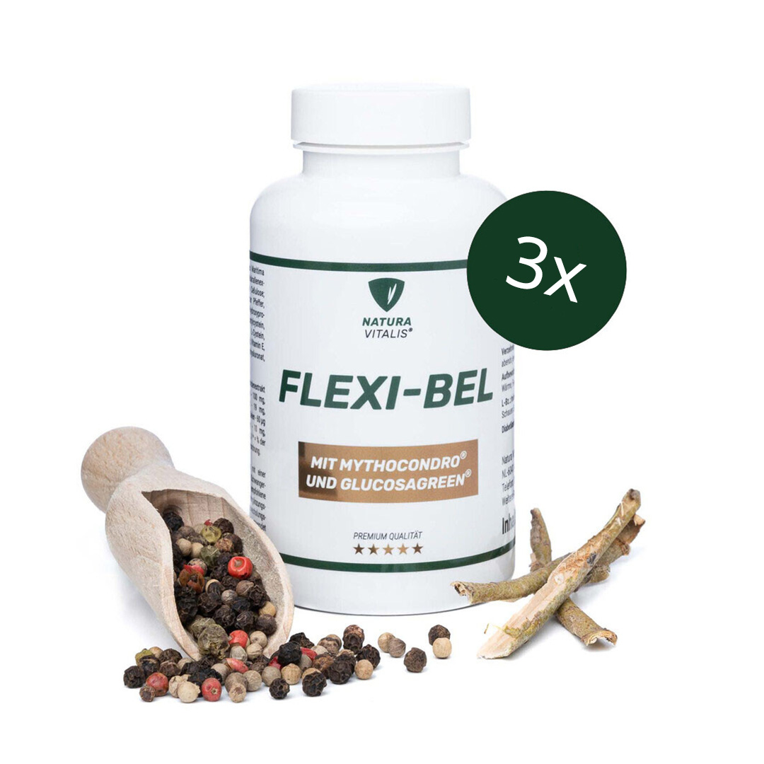 NATURA VITALIS Flexi-Bel - 360 Kapseln NATURA VITALIS Flexi-Bel - 360 Kapseln