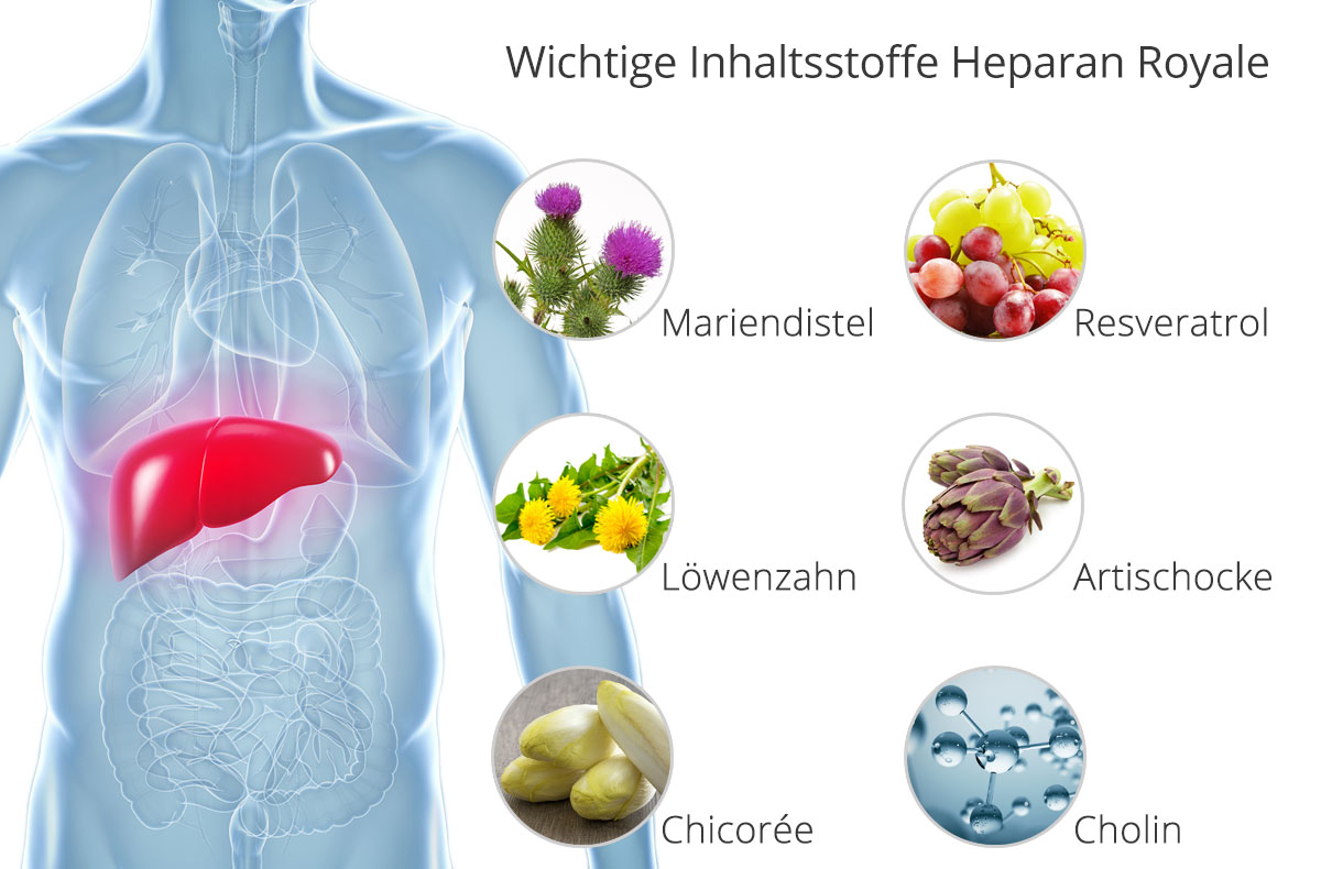 Heparan_Royale_Inhaltstsoffe